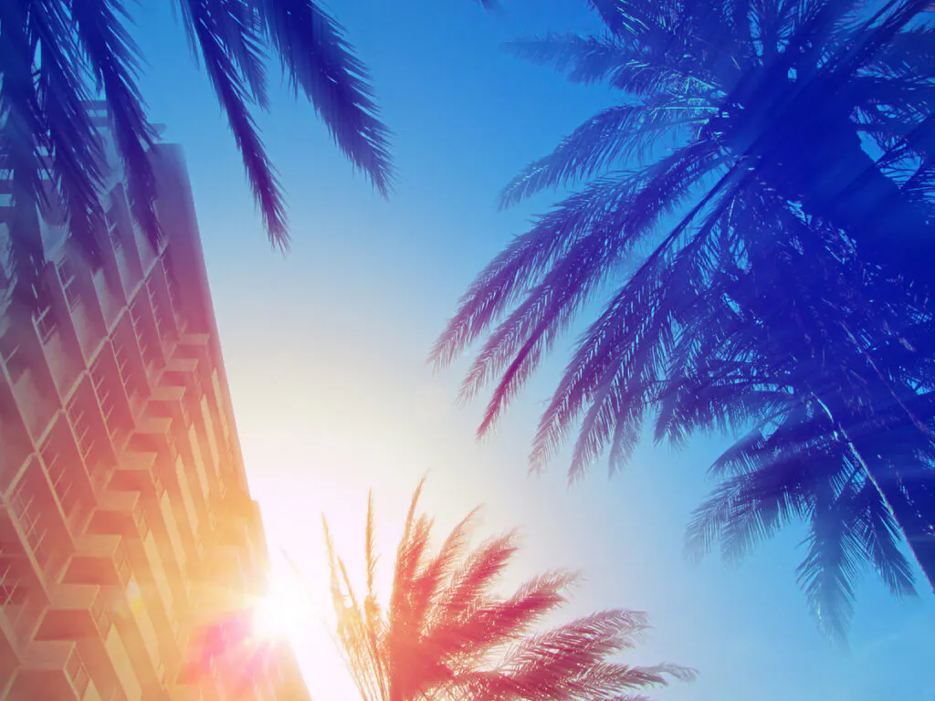 general contractor south florida